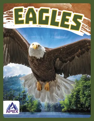 Aquile - Eagles