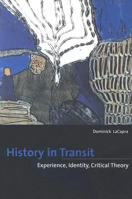 Storia in transito: Esperienza, identità, teoria critica - History in Transit: Experience, Identity, Critical Theory