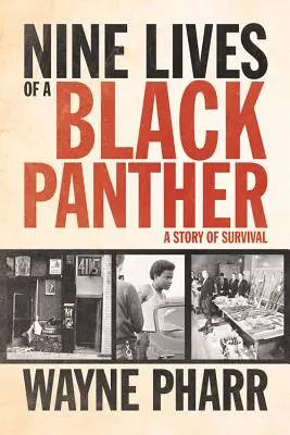 Nove vite di una pantera nera: Una storia di sopravvivenza - Nine Lives of a Black Panther: A Story of Survival