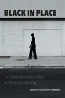 Nero sul posto: L'estetica spaziale della razza in una città post-cioccolato - Black in Place: The Spatial Aesthetics of Race in a Post-Chocolate City