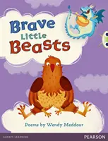 Bug Club Gioco indipendente di Julia Donaldson Anno 1 Blu Una gita dal dottor Woof - Bug Club Independent Julia Donaldson Play Year 1 Blue A Trip to Doctor Woof
