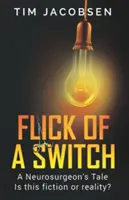 Un colpo di fulmine - Flick of a Switch