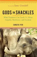 Divinità in catene - Ciò che gli elefanti possono insegnarci su empatia, resilienza e libertà - Gods in Shackles - What Elephants Can Teach Us About Empathy, Resilience and Freedom