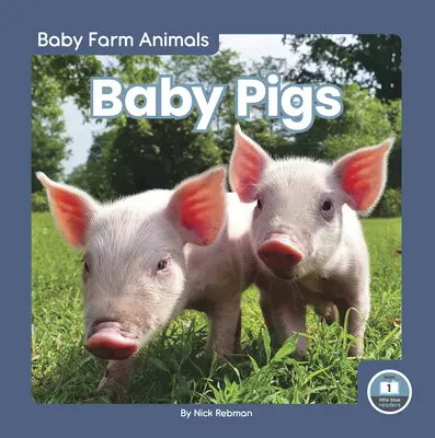 Baby Maiali - Baby Pigs