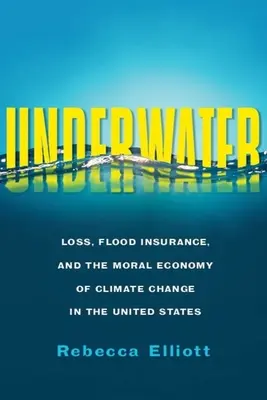 Sott'acqua: Perdite, assicurazioni contro le inondazioni e l'economia morale del cambiamento climatico negli Stati Uniti - Underwater: Loss, Flood Insurance, and the Moral Economy of Climate Change in the United States