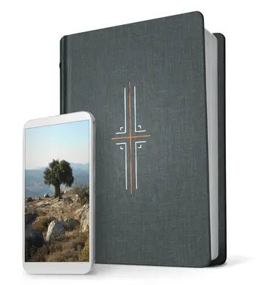 Bibbia NLT con filamento (copertina rigida, grigio, indicizzata): La Bibbia Stampa+Digitale - Filament Bible NLT (Hardcover Cloth, Gray, Indexed): The Print+digital Bible