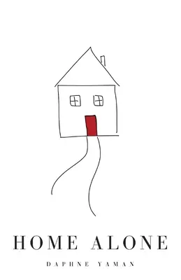 Soli in casa - Home Alone