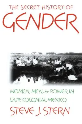 La storia segreta del genere: Donne, uomini e potere nel Messico tardo coloniale - The Secret History of Gender: Women, Men, and Power in Late Colonial Mexico