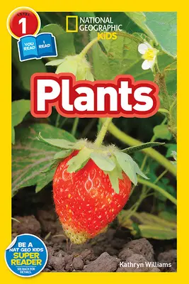 Piante - Plants