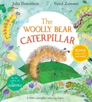 Il bruco orsetto di lana - Woolly Bear Caterpillar
