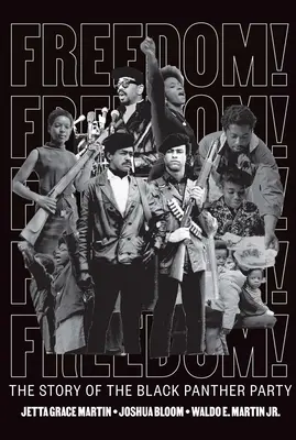 Libertà! la storia del Partito delle Pantere Nere - Freedom! the Story of the Black Panther Party