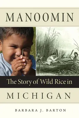 Manoomin: la storia del riso selvatico nel Michigan - Manoomin: The Story of Wild Rice in Michigan