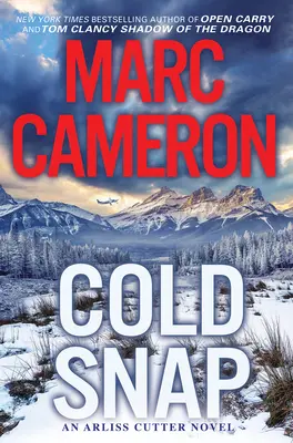 Cold Snap: Un romanzo di suspense ricco di azione - Cold Snap: An Action Packed Novel of Suspense