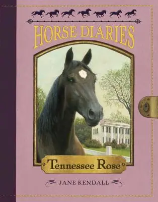 Rosa del Tennessee - Tennessee Rose
