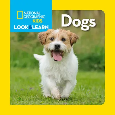 I cani - Dogs