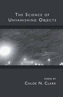 La scienza degli oggetti che non svaniscono - The Science of Unvanishing Objects