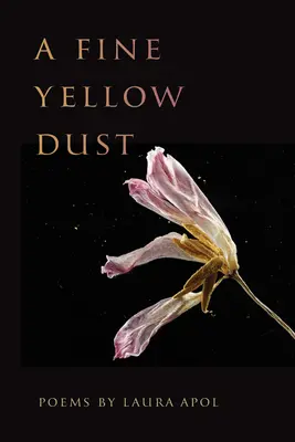 Una sottile polvere gialla - A Fine Yellow Dust