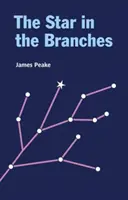 Stella tra i rami - Star in the Branches