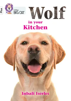Il lupo in cucina - Fascia 10+/Bianco+ - Wolf in your kitchen - Band 10+/White Plus