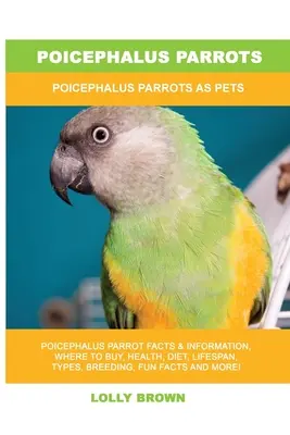 Pappagalli Poicefali: I pappagalli Poicephalus come animali domestici - Poicephalus Parrots: Poicephalus Parrots As Pets