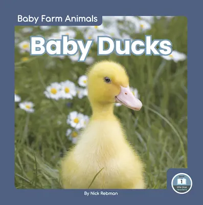 Baby anatre - Baby Ducks