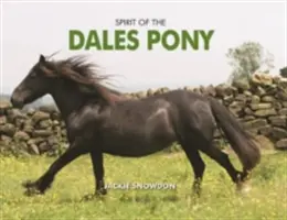 Lo spirito del pony delle Dales - Spirit of the Dales Pony