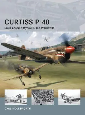 Curtiss P-40: Kittyhawks e Warhawks dal muso snodato - Curtiss P-40: Snub-Nosed Kittyhawks and Warhawks