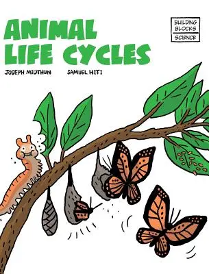 Cicli di vita degli animali - Animal Life Cycles