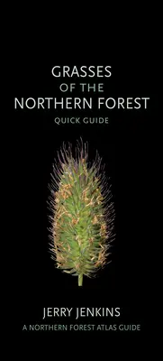 Erbe della foresta boreale: Guida rapida - Grasses of the Northern Forest: Quick Guide