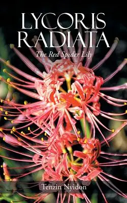 Lycoris Radiata: il giglio rosso del ragno - Lycoris Radiata: The Red Spider Lily