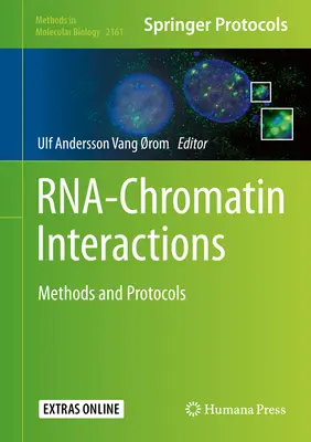 Interazioni Rna-Cromatina: Metodi e protocolli - Rna-Chromatin Interactions: Methods and Protocols