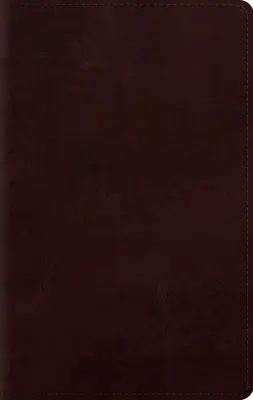 Bibbia formato personale a stampa grande-ESV - Large Print Personal Size Bible-ESV