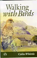 A spasso con gli uccelli - Un'esplorazione della fauna e del paesaggio di una valle della Cumbria - Walking with Birds - An Exploration of Wildlife and Landscape of a Cumbrian Valley