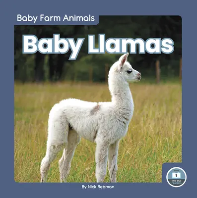 Baby Lama - Baby Llamas
