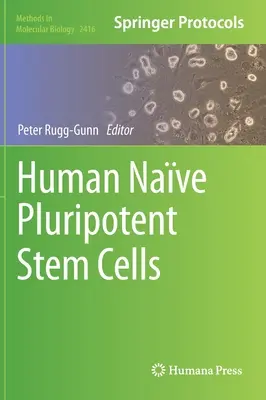 Cellule staminali pluripotenti a navata umana - Human Nave Pluripotent Stem Cells