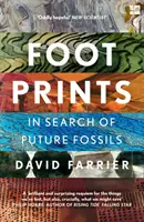 Impronte di piedi - Footprints