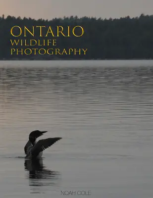 Fotografia della fauna selvatica dell'Ontario - Ontario Wildlife Photography