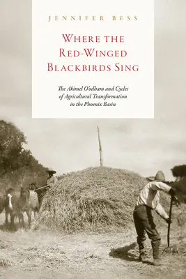 Dove cantano i merli dalle ali rosse: gli Akimel O'Odham e i cicli di trasformazione agricola nel bacino di Phoenix - Where the Red-Winged Blackbirds Sing: The Akimel O'Odham and Cycles of Agricultural Transformation in the Phoenix Basin