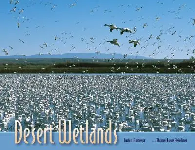 Zone umide del deserto - Desert Wetlands