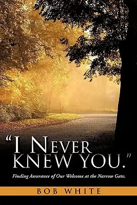 Non ti ho mai conosciuto. - I Never Knew You.