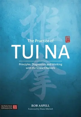 La pratica del Tui Na: Principi, diagnosi e lavoro con i canali dei tendini - The Practice of Tui Na: Principles, Diagnostics and Working with the Sinew Channels