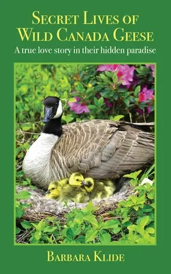 Vite segrete delle oche canadesi selvatiche: Una vera storia d'amore nel loro paradiso nascosto - Secret Lives of Wild Canada Geese: A true love story in their hidden paradise