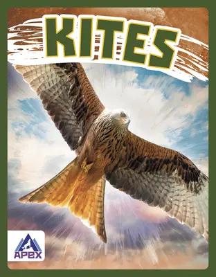 Nibbio - Kites