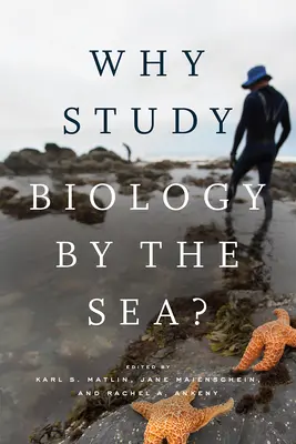 Perché studiare biologia in riva al mare? - Why Study Biology by the Sea?