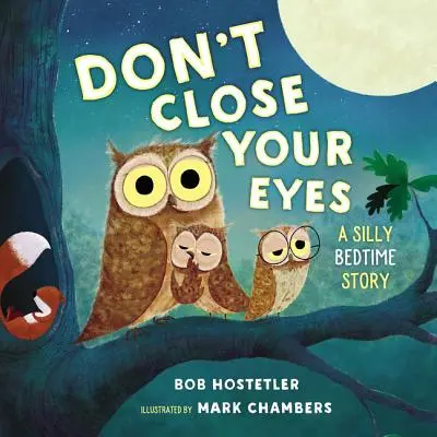 Non chiudere gli occhi: una sciocca storia della buonanotte - Don't Close Your Eyes: A Silly Bedtime Story