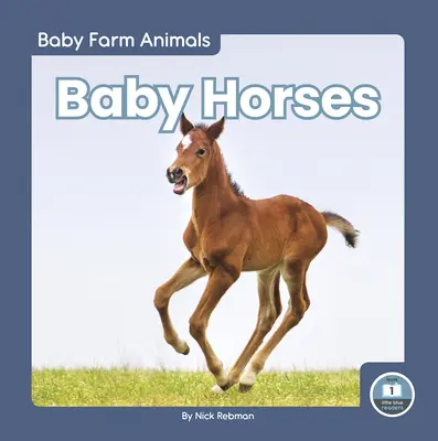 Cavalli da latte - Baby Horses