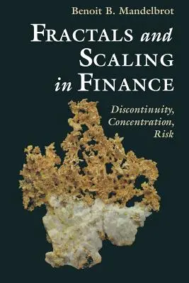 Frattali e scalarità in finanza: Discontinuità, concentrazione, rischio. Selezione del volume E - Fractals and Scaling in Finance: Discontinuity, Concentration, Risk. Selecta Volume E