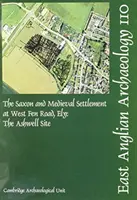 L'insediamento sassone e medievale di West Fen Road, Ely: Il sito di Ashwell - The Saxon and Medieval Settlement at West Fen Road, Ely: The Ashwell Site