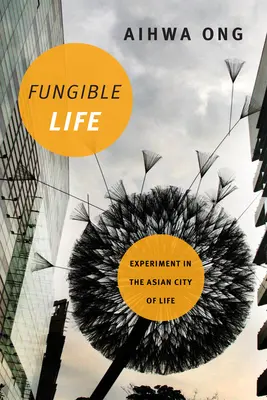 Vita fungibile: Esperimento nella città asiatica della vita - Fungible Life: Experiment in the Asian City of Life