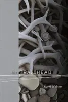 Il sentiero - The Trailhead